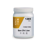 Ban zhi lian 半枝莲